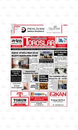 SEYDİŞEHİR TOROSLAR