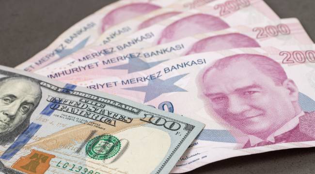 TL Mart Ayında Geriledi