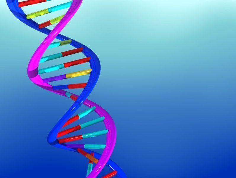 DNA nedir?