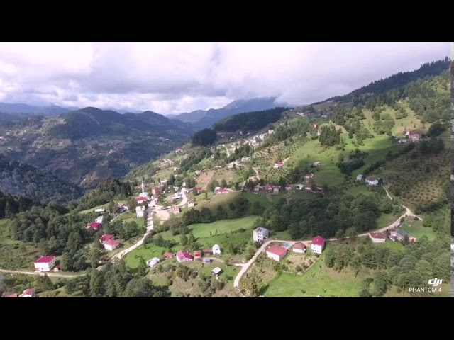 Sinlice Mahallesi Neresidir