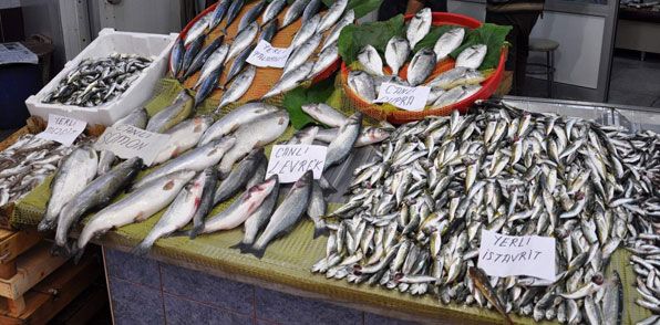 Balık Sezonlarına Göre Yenecek Balıklar